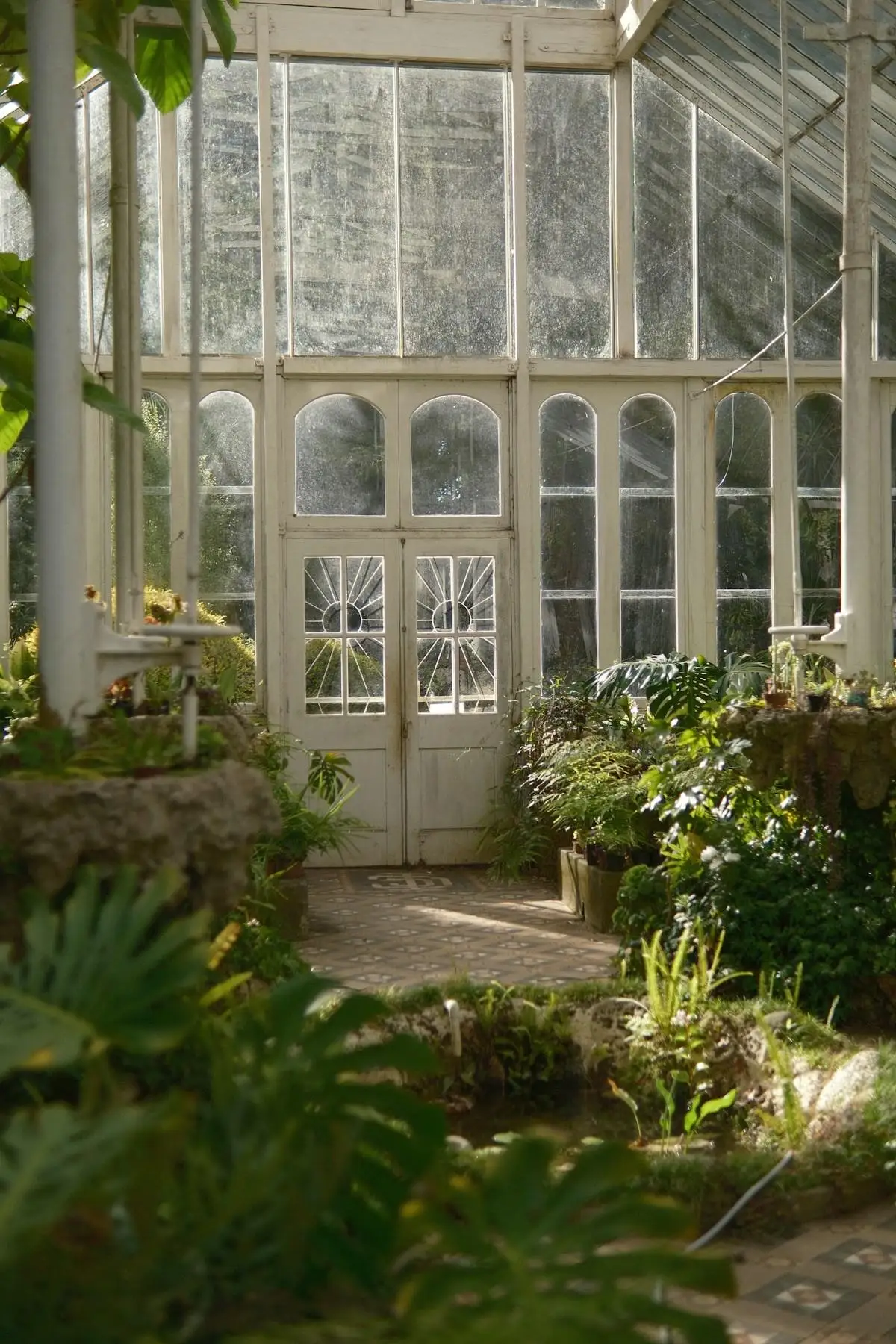 Jardinerie Terre et Jardin à Saint-Pourçain-sur-Sioule — espace végétaux, fleurs et plantes